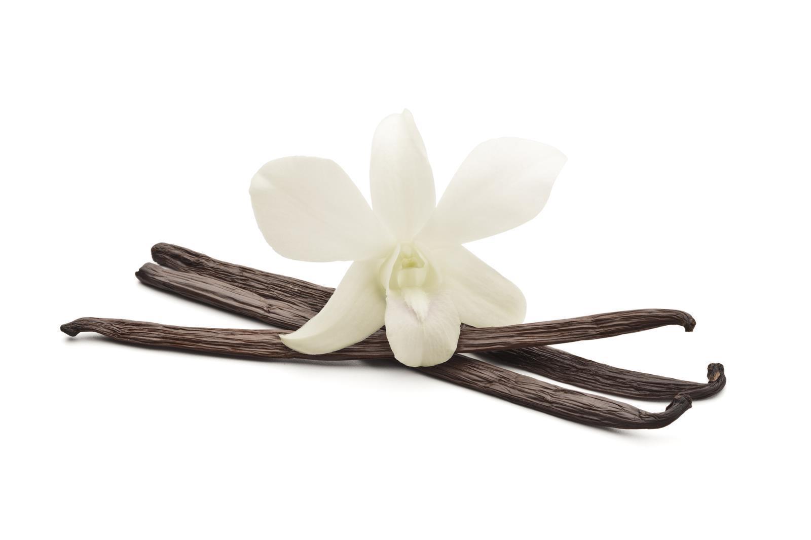 Hymor Bourbon Vanille 100g Vanilleschoten Madagaskar 16-18cm neue Ernte