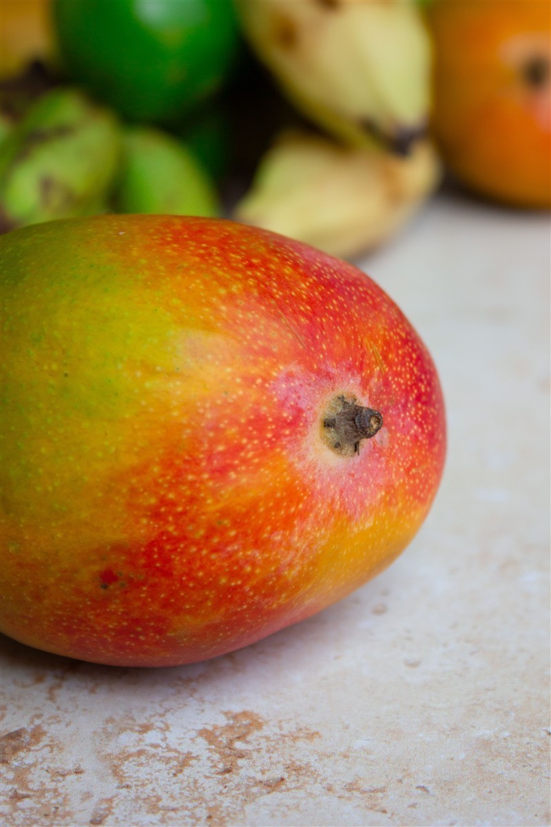 Ponthier MANGO PÜREE Exotische-Früchte-Püree Mangomark 6x 1KG