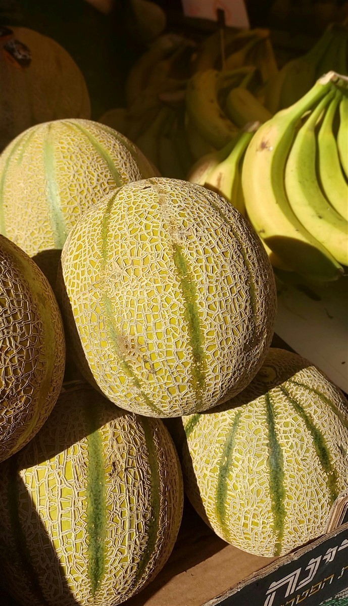 Ponthier MELONEN PÜREE Melon-du-Quercy-Frucht-Püree Melonenmark 6x 1KG