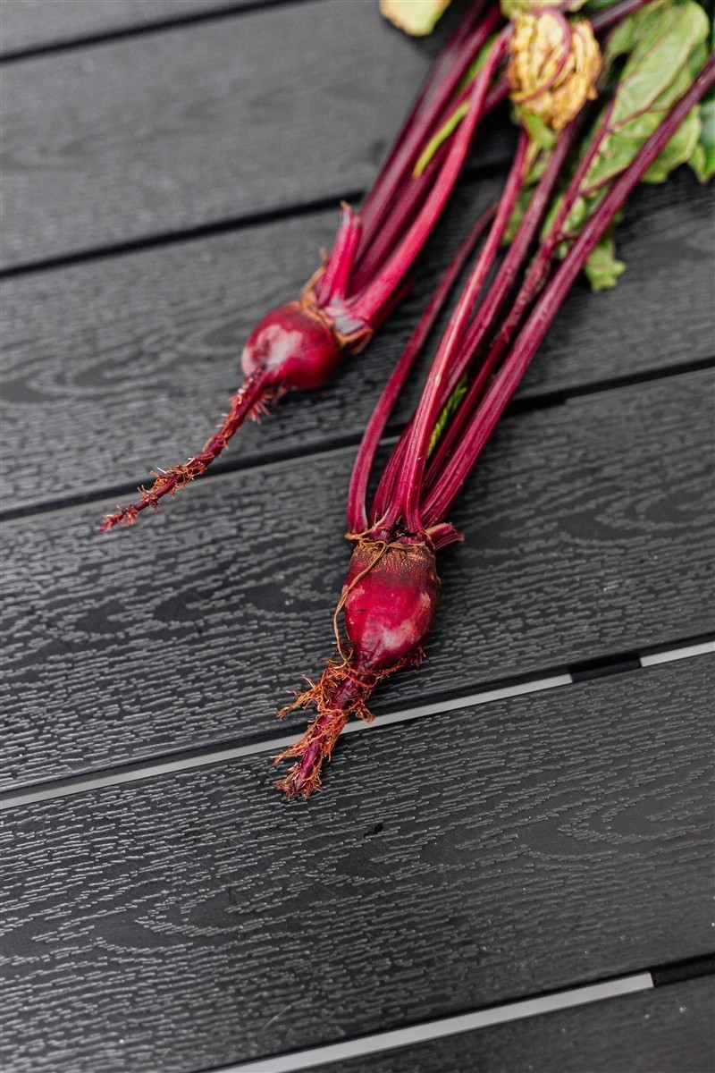 Ponthier ROTE BETE Gemüse-Püree Rote Betemark 1KG