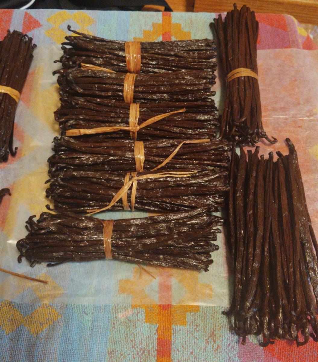 Hymor Bourbon Vanille 100g Vanilleschoten Madagaskar 16-18cm neue Ernte