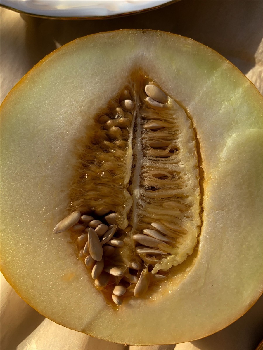 Ponthier MELONEN PÜREE Melon-du-Quercy-Frucht-Püree Melonenmark 6x 1KG