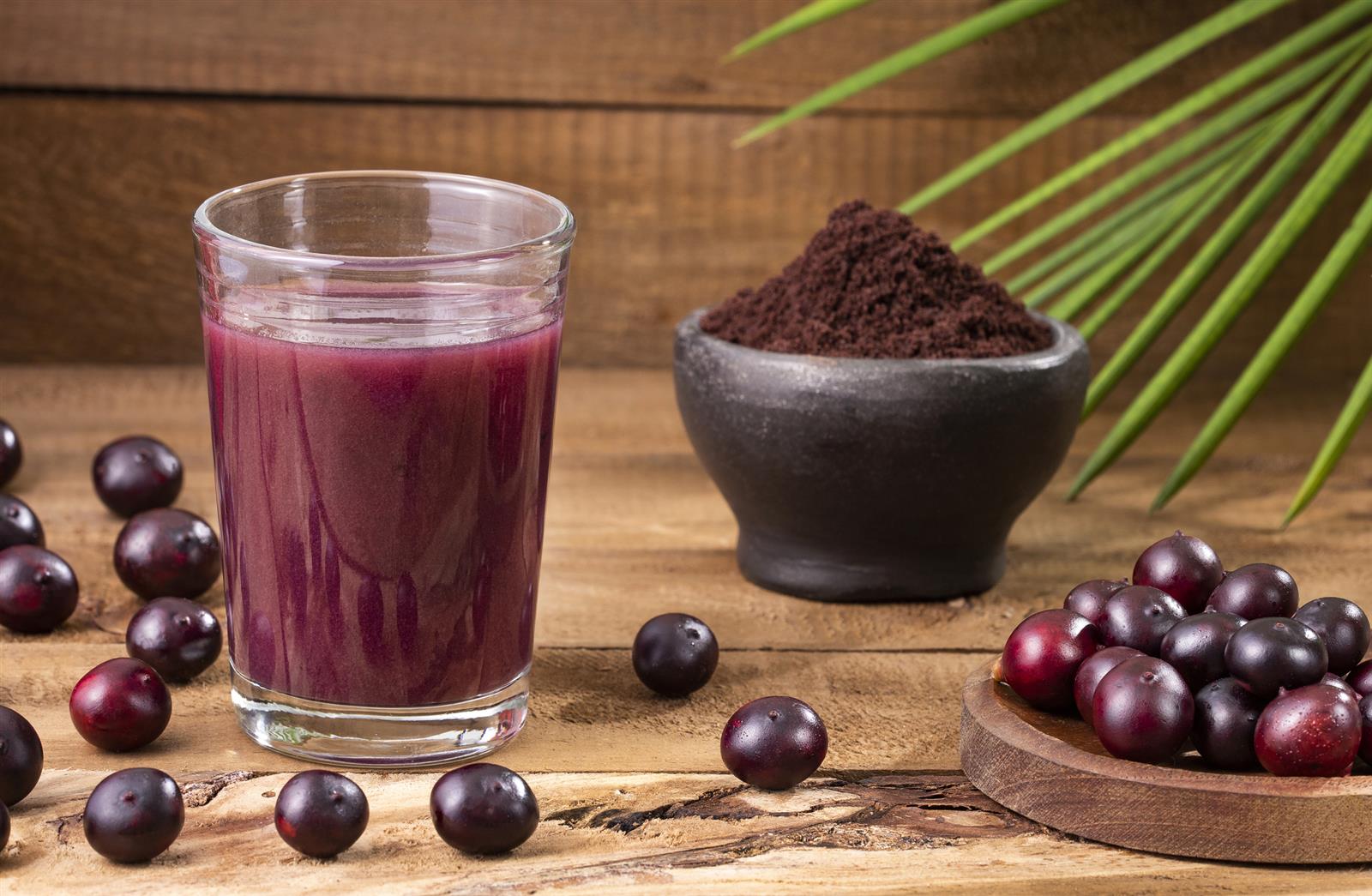 Ponthier Bio Acai-Püree 6x 1kg Fruchtpüree aus Acai-Beere Amazonas Superfood