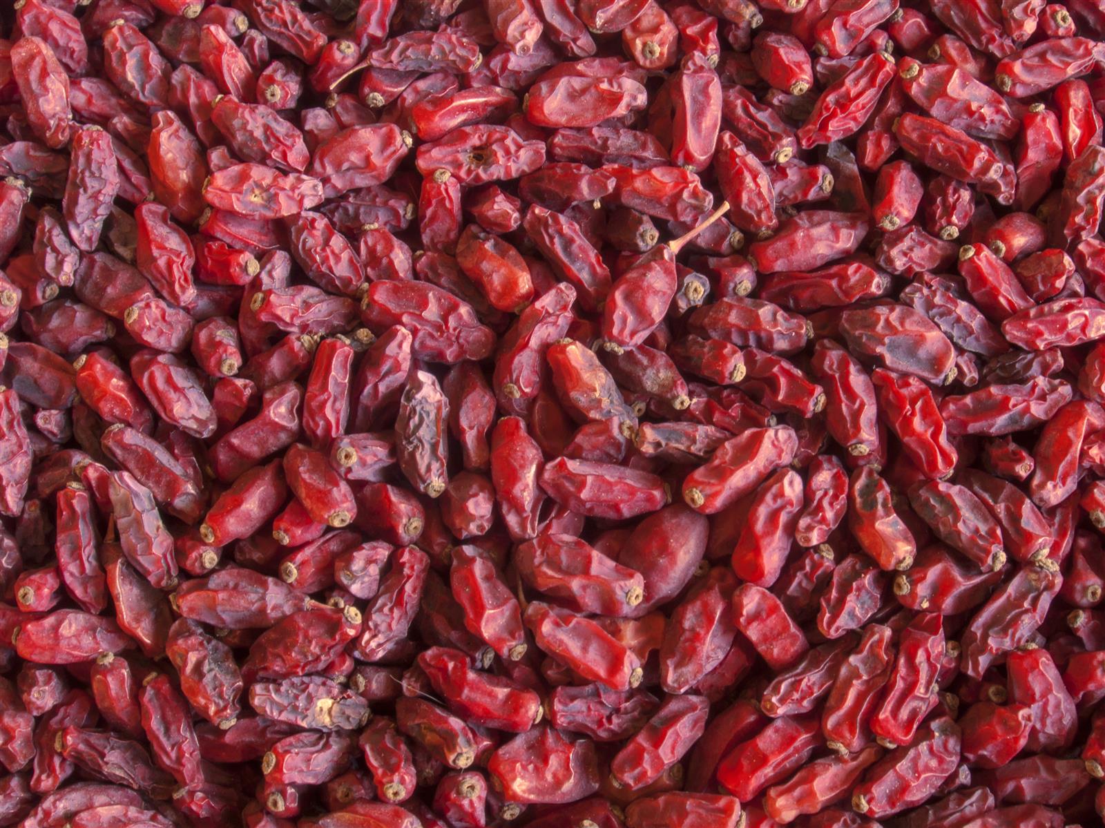 Hymor Berberitze getrocknet 1kg Trockenfrucht ohne Zusätze Berberitzen Sauerdorn