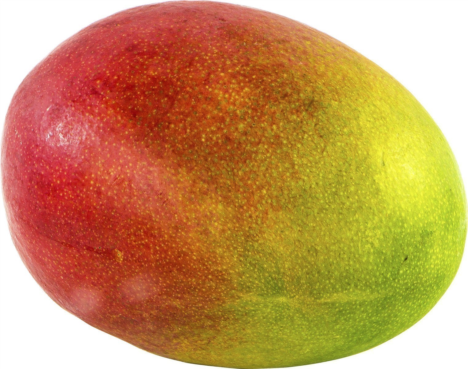 Ponthier MANGO PÜREE Exotische-Früchte-Püree Mangomark 6x 1KG
